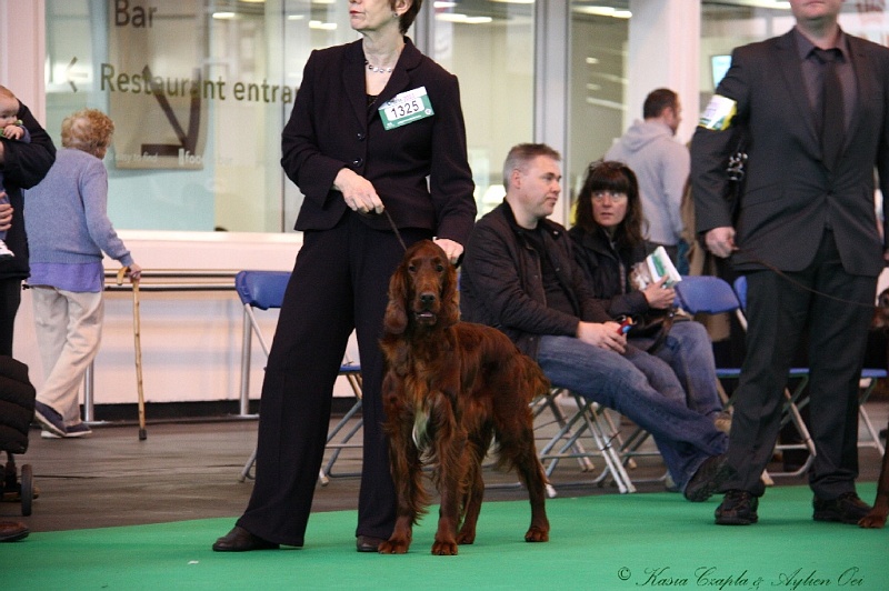 Crufts2011 218.jpg